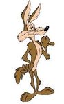 WileECoyote.jpg