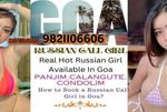 Profile (goa9821106606)