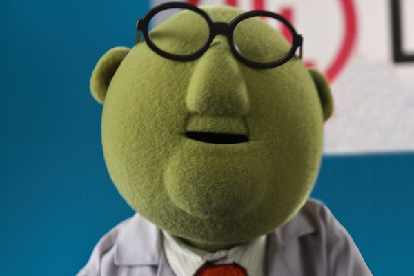 dr.bunsen_honeydew.jpg