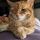 Robyn_Plund3r
