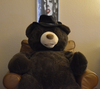 posh-bear.png