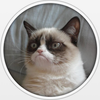 Grumpy Cat.png