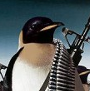 avatar-penguin-ar.png
