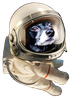 rocket-spacesuit.png