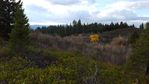 20151104_160532.jpg