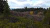 20151104_160532.jpg