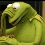 kermit-the-frog-facepalm.jpg