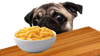 hungry-dog.png