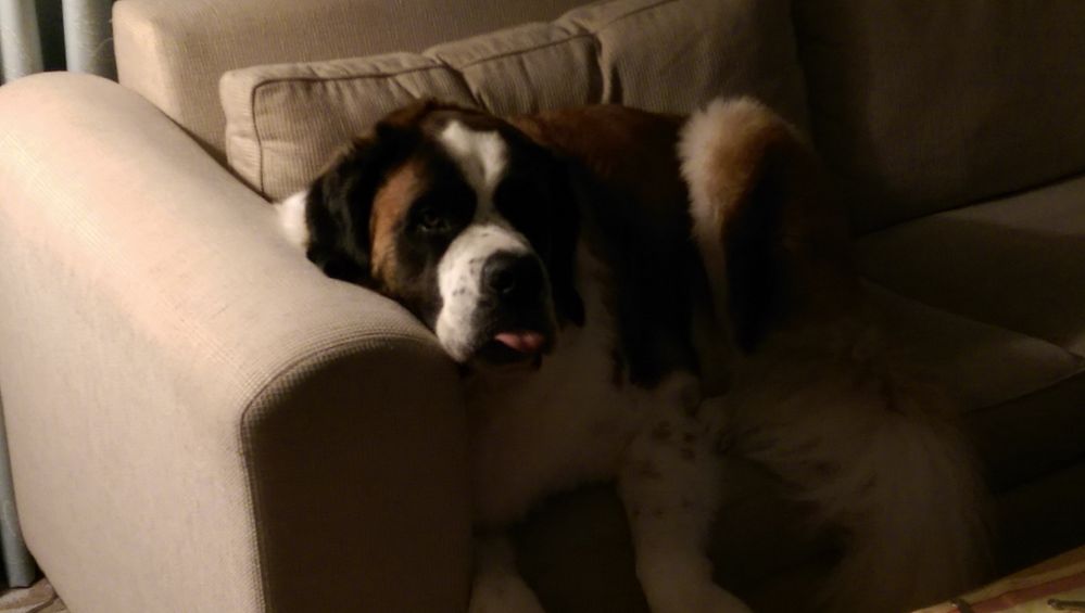 IMAG0138.jpg