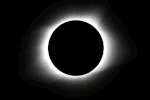 IMG_0242-ANIMATION.gif
