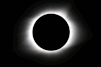 IMG_0242-ANIMATION.gif