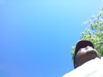IMG_20160720_175548.jpg