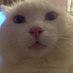 Profile (geekymalcolm)
