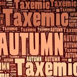 taxemic_autumn