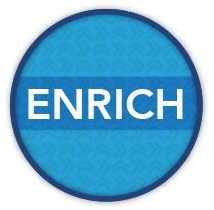 Enrich_badge.png