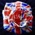 English Rose.jpg