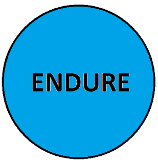 ENDURE.png