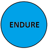 ENDURE.png