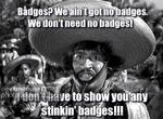 We-aint-got-no-badges-1