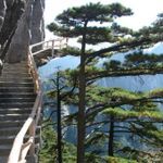 chuxing.jpg chuxing.jpg