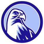 Profile (BlueFalcon)