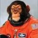 nasa_chimp.jpg