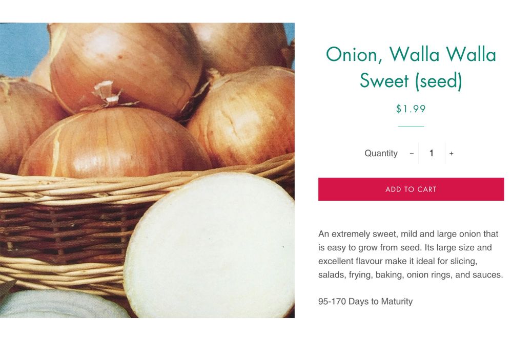 onion-seed-facebook