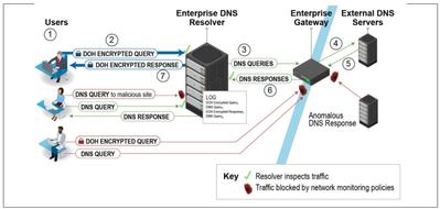 NSA recommended enterprise DNS architecture with DoH
